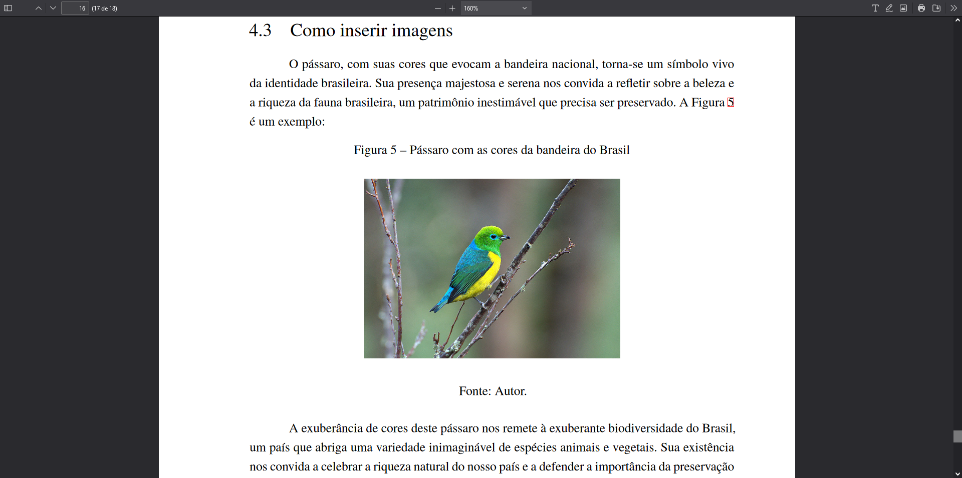 Exemplo de figura no PDF